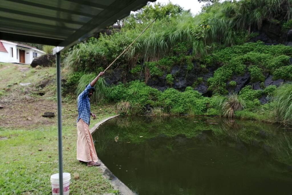 Farmstay In ചില്ലുകൂടാരം At Les Domki Et Al. 瓦加蒙 外观 照片