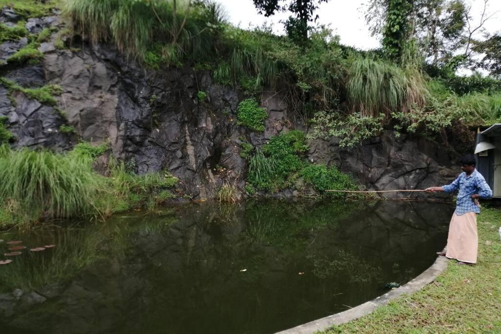 Farmstay In ചില്ലുകൂടാരം At Les Domki Et Al. 瓦加蒙 外观 照片