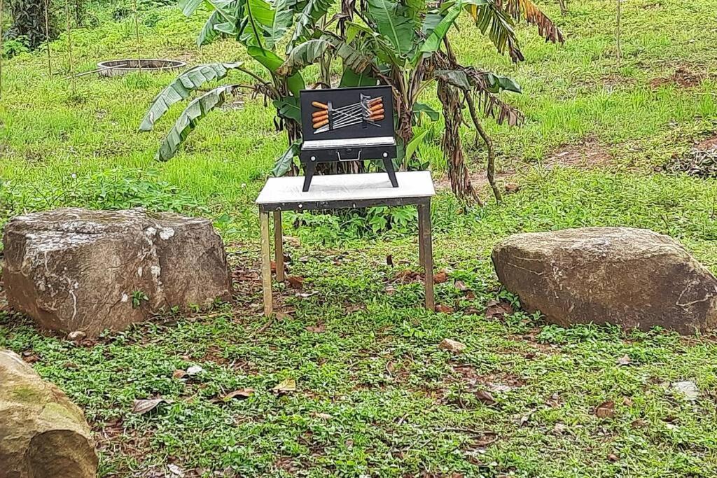 Farmstay In ചില്ലുകൂടാരം At Les Domki Et Al. 瓦加蒙 外观 照片